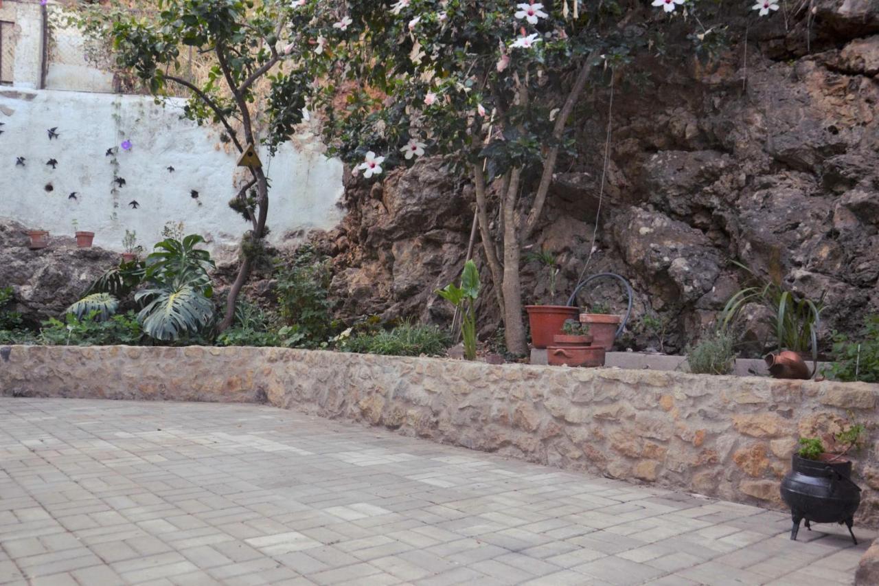Casa Da Nono Apartment Коимбра Екстериор снимка